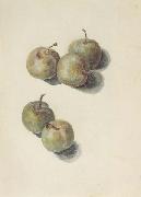 Edouard Manet Etude de cinq prunes (mk40) oil